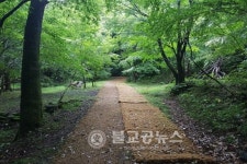 서귀포자연휴양림 유아숲체험원 오픈
