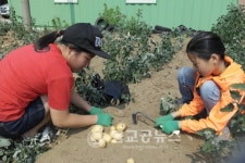 목도초, 농산물로 전통시장 판매 체험