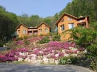 영동군 민주지산 자연휴양림 인기몰이