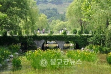 서울 도심 속 시원한 녹음길 209선 소개