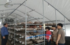 증평군 크로스코칭 통한 강소농 후속교육