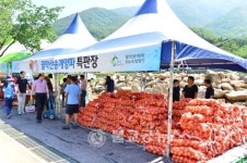 제천 제15회 월악산 송계양파 축제 개최