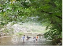 강원도, 백두대간생태수목원 체험단지 다양한 행사