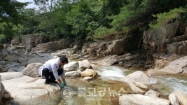 청풍명월 충북, 물놀이도 안심하고 즐기세요