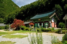 영동군, 레인보우 SNS 홍보 서포터즈 8월 팸투어