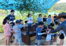 세종시, 싱싱장터 농촌 팜투어 호응