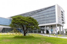 성남시청  둥근 소나무 새 명물로 시민 곁에 머물게 돼