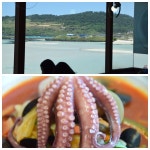 제주도 함덕해수욕장에서 볼거리를.. 함덕 맛집 