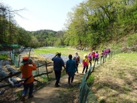 제천시, 숲 해설이 있는 신바람 바르게 걷기 교실 운영