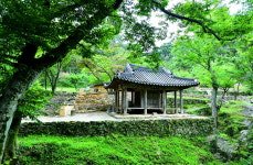 [포토뉴스] 담양군, 관방재림 & 소쇄원