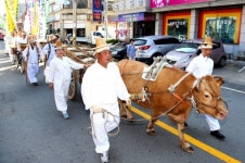 2017 서부시장 안동간고등어축제 개최