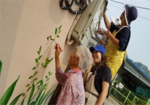 옥천읍 동안리 충북1365 나눔마을 사업 성공적 마무리