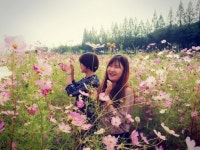 괴산 하천변 코스모스가 너울너울 손짓~