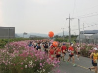 상당구 문의면 향기로운 꽃길을 달리세요!