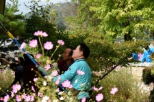 [영상] 안내초, 안내면 행복마을 이야기 놀잇길 향수벽화사업