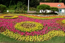 [포토 영상] 청원생명축제 2017 이모저모