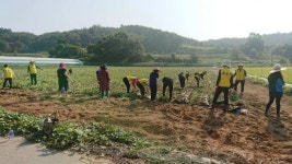 세종시 고운동, 고운마음 봉사활동
