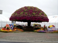 [영상] 금산세계인삼엑스포2017 이모저모