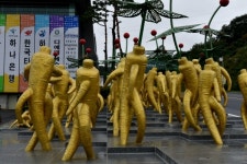 [영상] 금산세계인삼엑스포2017 이모저모