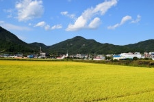 [영상] 옥천군, 청산지명탄생 1000주년 기념탑 안전기원제