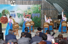 유성구, 제6회 세동 밀쌈축제 한마당 개최
