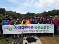 상당구 탑대성동, 일손부족 농가의 까마중 수확거들어