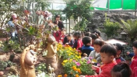 청주랜드 생태관, 허브 향기 가득