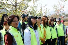 충북농촌사랑봉사단, 사과수확 및 김장김치 담그기