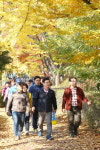 유성구,  탄동천 단풍길 걷기 한마당 성황리에 마쳐