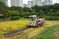고양시, 안곡습지공원 묵논이 베푼 사랑