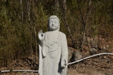 태고종, 밀양 부은사에 상서(祥瑞)로운 일