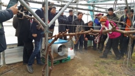 영동군, 신기술보급 맞춤형 시범사업 추진, 농가 경쟁력 쑥쑥