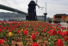 여수시, 사계절 꽃피는 도시 만들기 시작