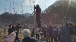 괴산군 친환경농업대학 사과과정 현장실습 실시