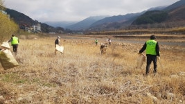 하동군 화개면, 상춘객 맞이 아름다운 화개골 조성