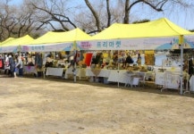 제천시, 물 만난 연, 바람난 물고기 힐링 페스티벌