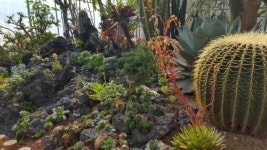 청주시 생명농업관 연중 무료 개방