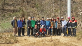 영동군 용화면주민자치위원회, 아름다운 가로수길 조성