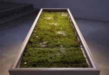 청주시립대청호미술관 2018년 첫 전시 관찰자 시점展 개막