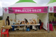 강화 고려산진달래축제, 1년의 기다림 감탄!