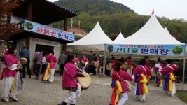 옥천군, 제9회 환평약초체험마을 산나물 축제