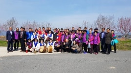 부여군 삼용1리, 분홍빛 복사꽃 따라 행복도 피어나요