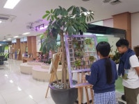 하동군 민원실금당 박금연 다육아트전시