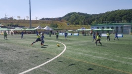 보은군, 어린이날 연휴 유소년 체육행사 펼쳐져