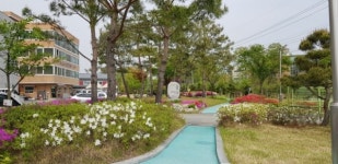 충북도, 복지시설 내 푸른 숲을 만든다.