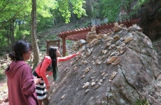 옥천 장령산자연휴양림, 봄 힐링과 심신치유 장소로 인기