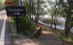 서울대공원, 청계저수지 둑방 34년 만에 시민개방