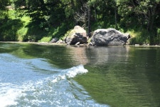 [영상 / 포토]영동군 송호관광지, 수상레포츠 시설 카누·카약장 탄생