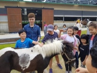 동이초등학교, 학교 가서 말도 타요