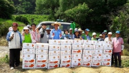 담양 봉산면, 알찬 감자 수확으로 나눔사랑 실천!